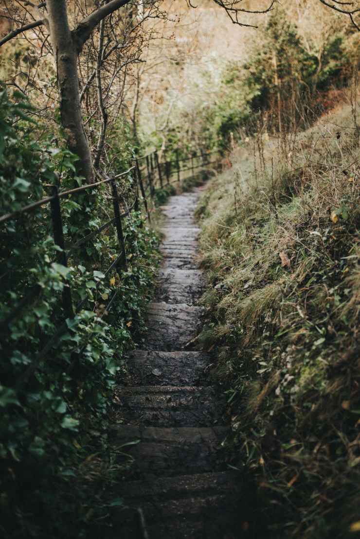 concrete pathway between green grass and trees